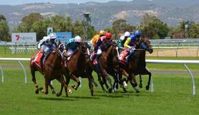 horse-racing-358907_960_720-1-min-1